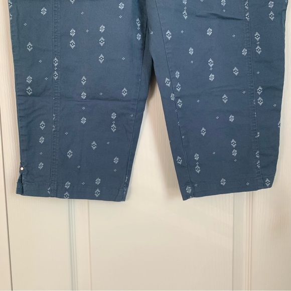 Style and Co Printed Capri Pants - Picture 4 of 12